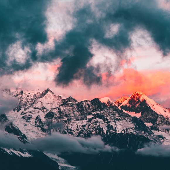 Meet your Posher, Kit - Picture 1 of 1